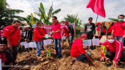 Memperingati HUT PDI Perjuangan, DPC Kabupaten Bekasi Launching Gerakan SICITA dan Tanam Pohon