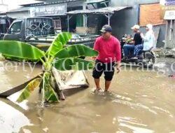 Pohon Pisang Tiba Tiba Tumbuh Di Jalan Raya Di Babelan, Ada Apa???