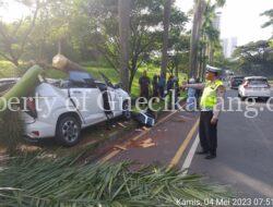 Diduga Supir Mengantuk,Sebuah Mobil Tabrak Pohon Hingga Roboh Di Cikarang selatan.