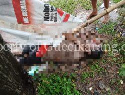 Seorang Pria Tewas Diduga Tersambar Petir di Cikarang Selatan