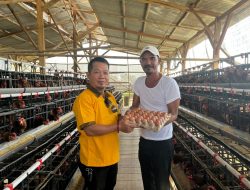 Program Ketahanan Pangan ‘Ayam Bertelur’ Di Desa Sukarukun Hasilkan 600 Telur Perhari.