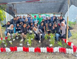 Penanaman Apotek Hidup dan Pemasangan Rumah Burung Hantu Di Desa Karangsetia Sukses Dijalankan