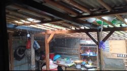 Puting Beliung Terjang Cikarang Pusat, 15 Rumah Warga Rusak di Desa Cicau Cikarang Pusat