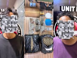 PENGEMBANGAN KASUS GANJA 15 KILOGRAM, SATRESNARKOBA POLRES METRO BEKASI KEMBALI SITA 2 KILOGRAM DAN AMANKAN DUA TERSANGKA