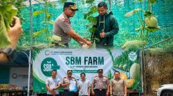 Polsek Cikarang Selatan Melaksanakan Program Polisi Peduli Pengangguran Kembangkan Budidaya Melon