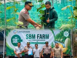 Polsek Cikarang Selatan Melaksanakan Program Polisi Peduli Pengangguran Kembangkan Budidaya Melon